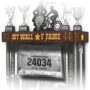 My wall of Fame 3 in 1, Medal Trophy & Bib Shelf
