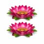 small lotus set of 2 lotus