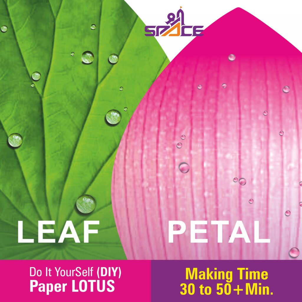 Paper Lotus Decoration - Festive Decor
