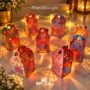 Zharokha with Lighting (ZWL) DIY Paper Lanterns Pack of 8